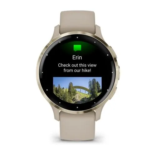 Часы Garmin Venu 3S French Gray