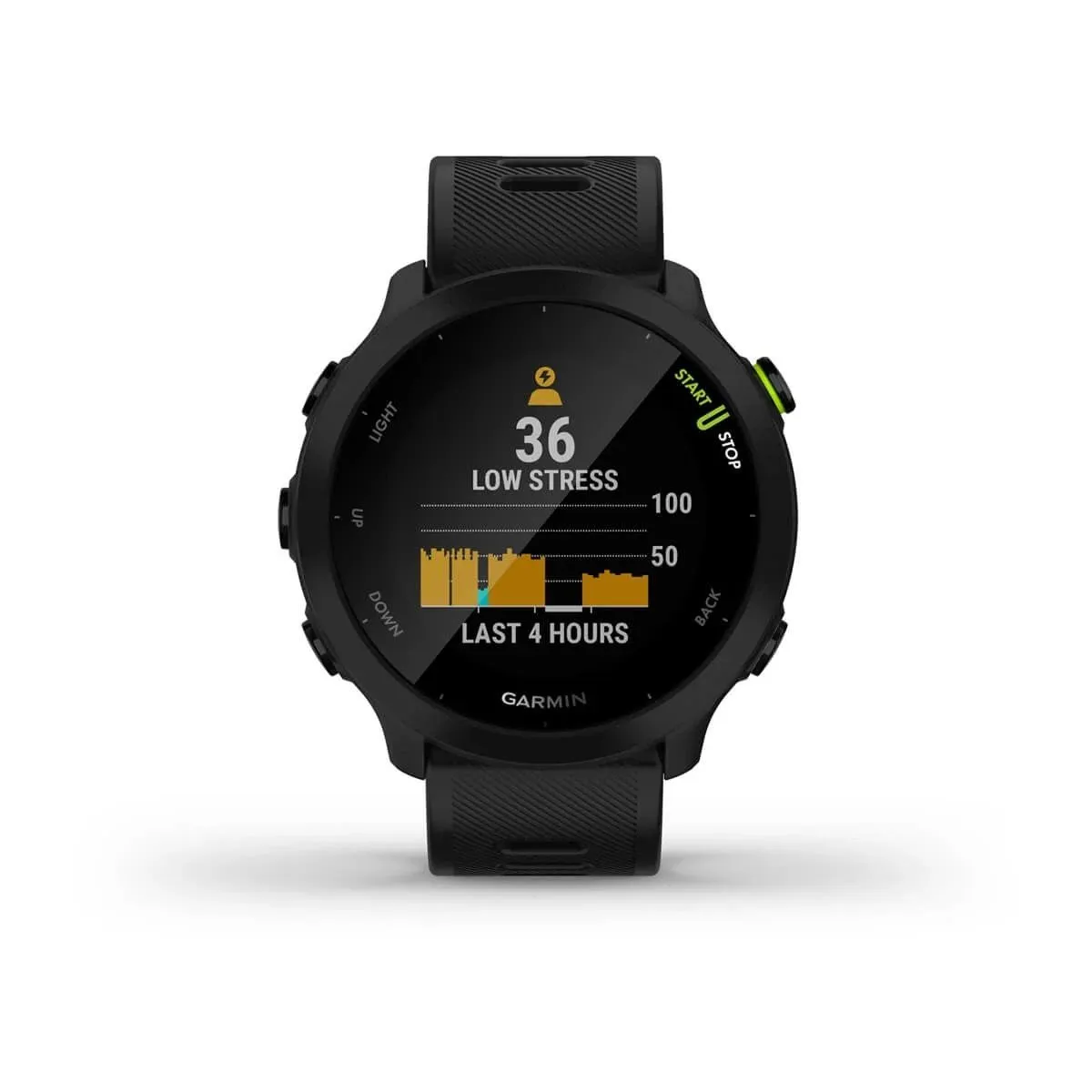 Часы Garmin Forerunner 55 Black
