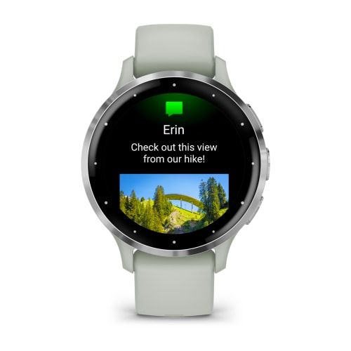 Часы Garmin Venu 3S Sage Gray
