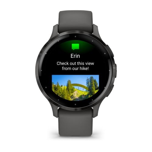 Часы Garmin Venu 3S Pebble Gray
