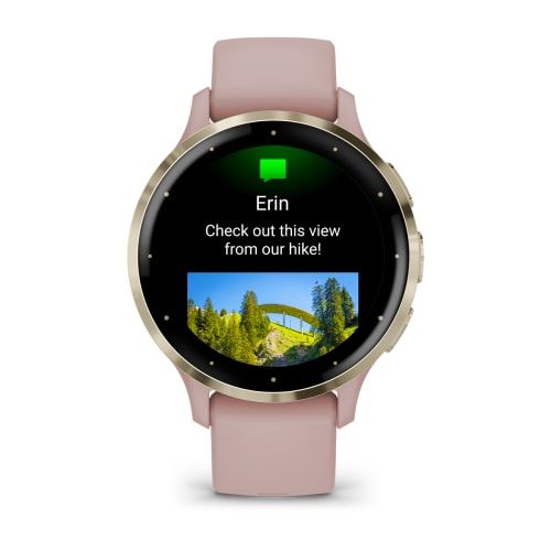 Часы Garmin Venu 3S Dust Rose
